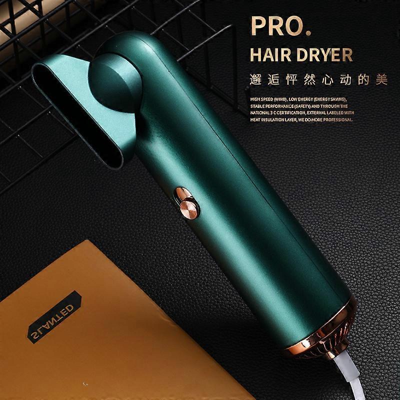 Mini Silent Anion Hair Dryer Portable Leafless High Power Dryer