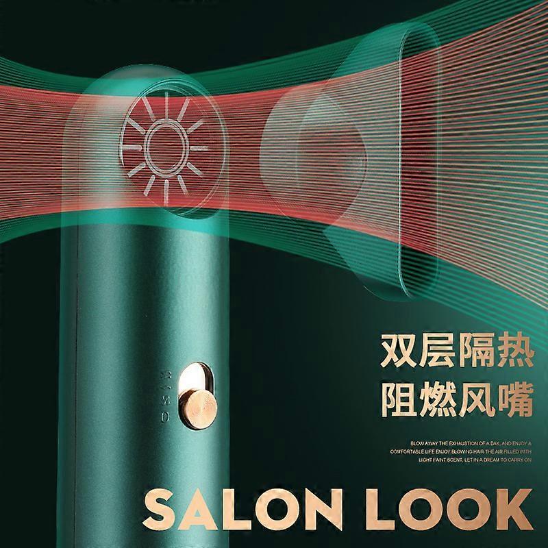 Mini Silent Anion Hair Dryer Portable Leafless High Power Dryer
