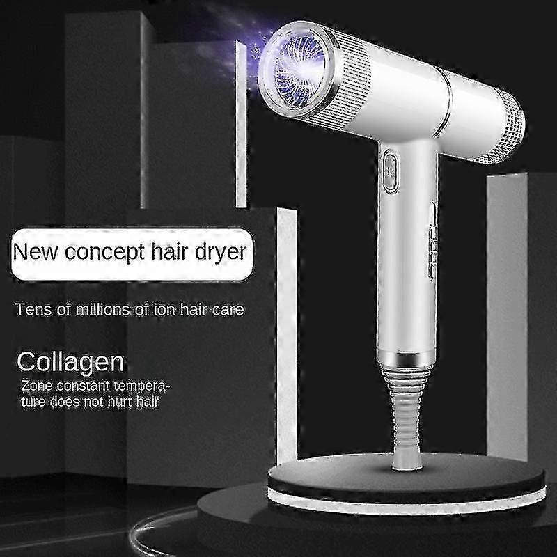 2000W Professional Ionic Hair Dryer with Diffuser Silver Purple