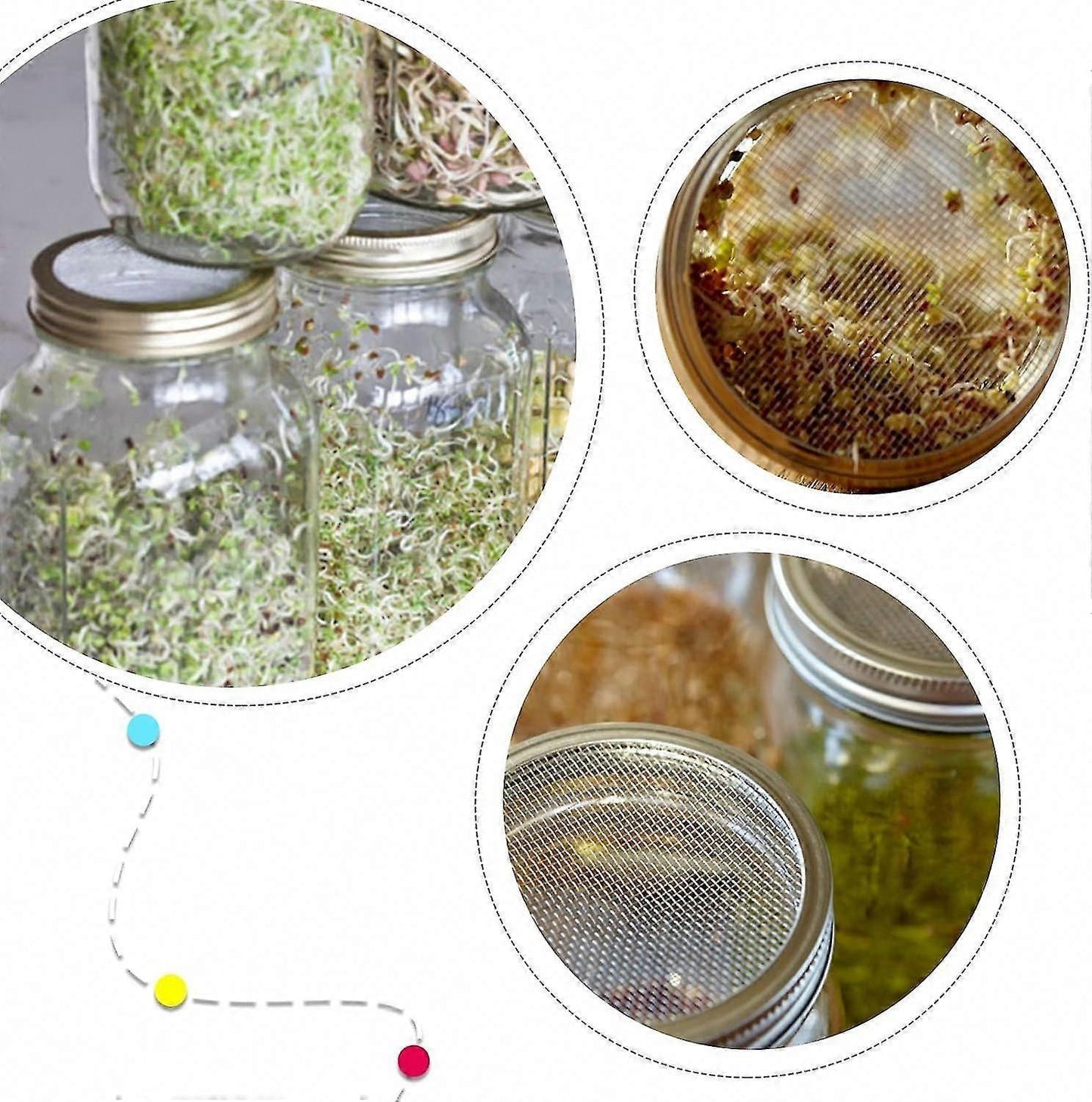 4 Sets 86mm Stainless Steel Sprouting Jar Lids Strainer Kit for Salad Seeds