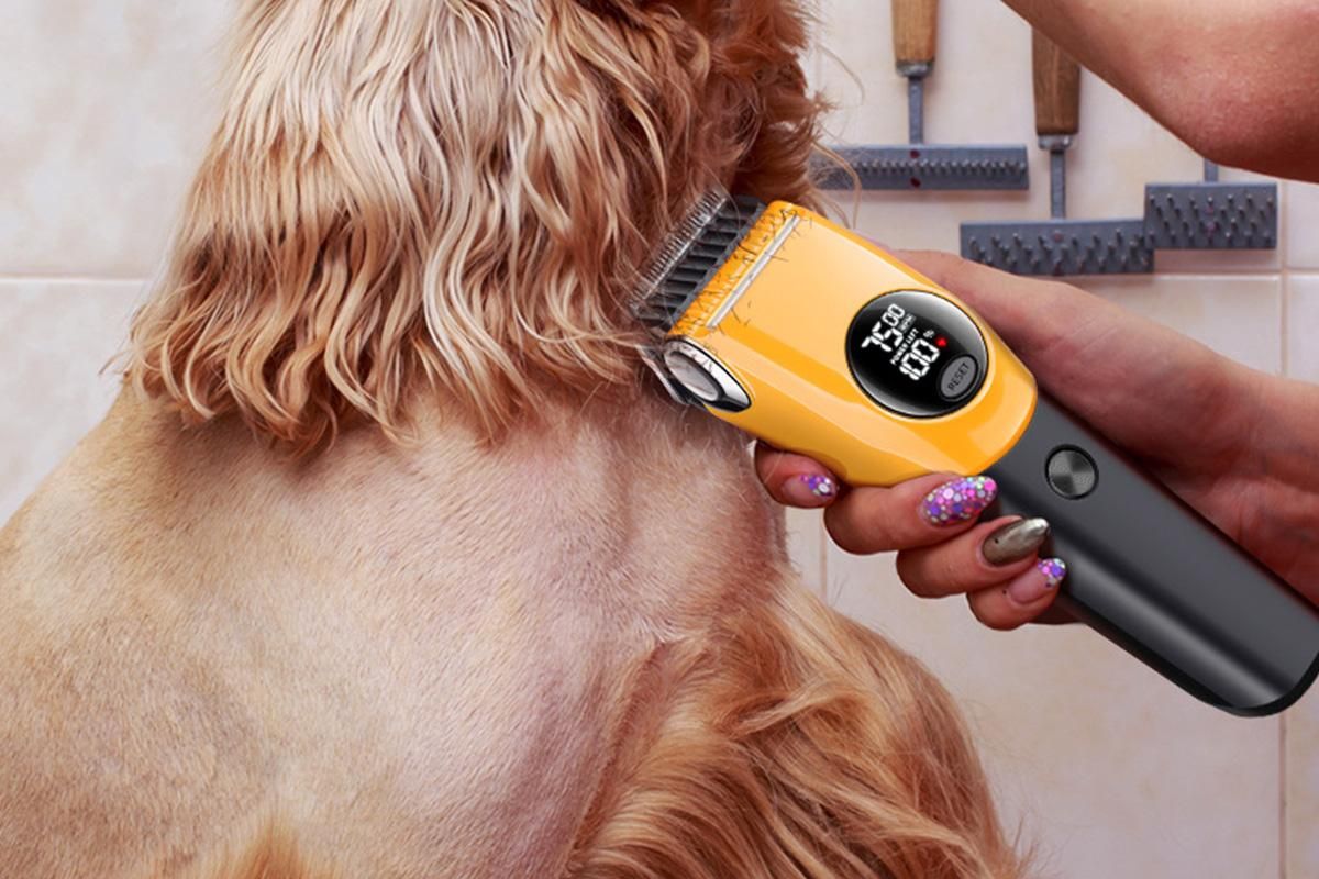 Dog Clipper Low Noise Dog Grooming Kit Rechargeable 3-Speed With LCD Display for Dogs Cats Pets