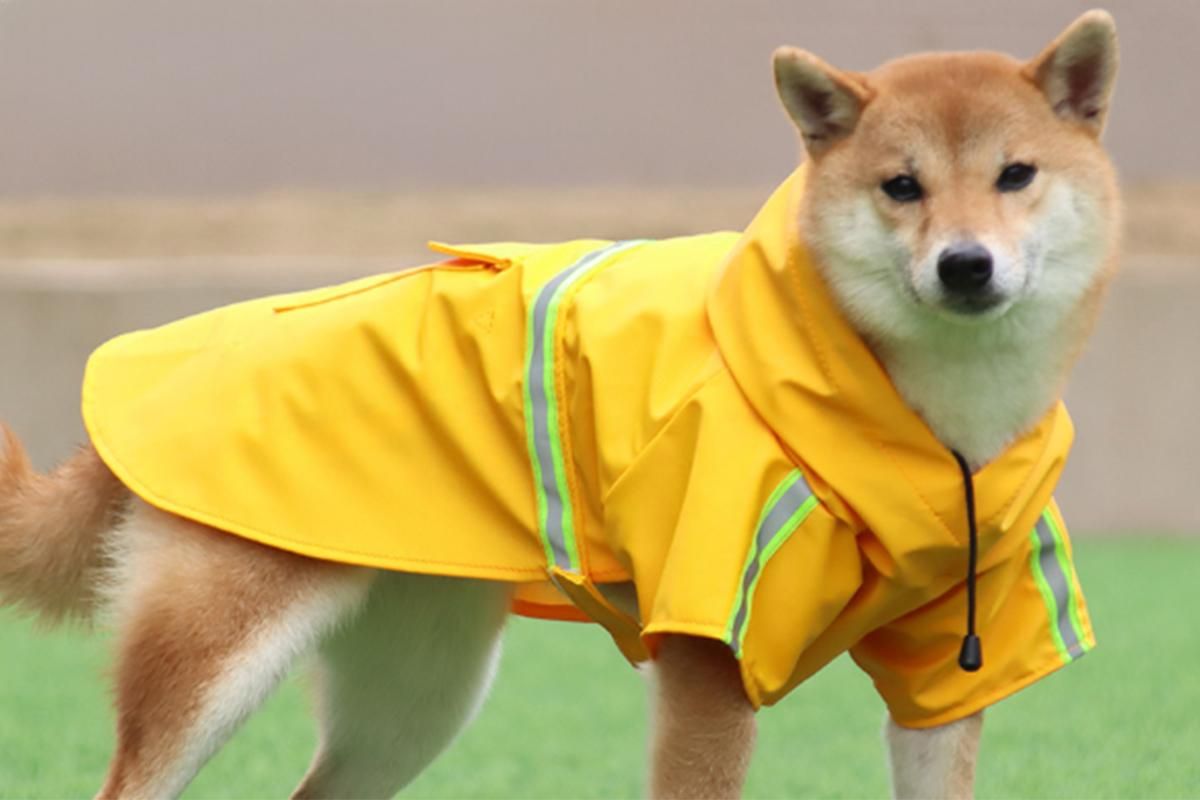 Pet Raincoat Outdoor Waterproof Dog Poncho for Small and Medium Dogs - Yellow
