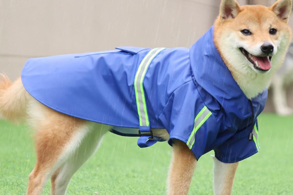 Pet Raincoat Outdoor Waterproof Dog Poncho for Small and Medium Dogs - Blue