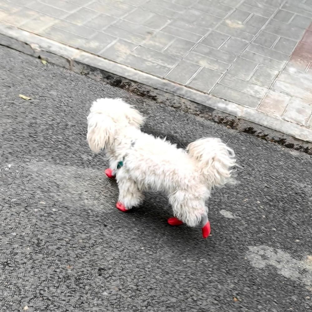 Waterproof Anti Slip Pet Shoes with Rubber Sole for Indoor and Outdoor Use Red - L