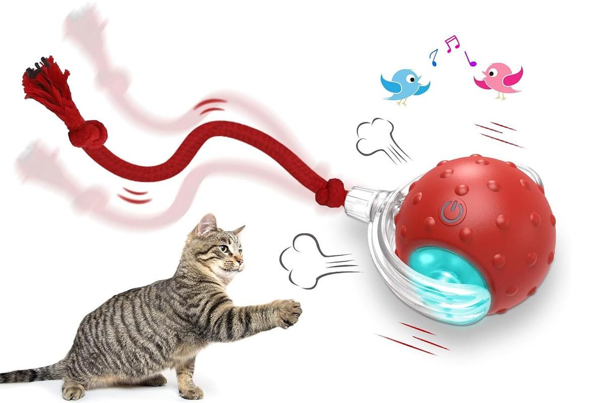 Motion Activate Interactive Cat Toy Rechargeable Smart Rolling Ball with Rope Red