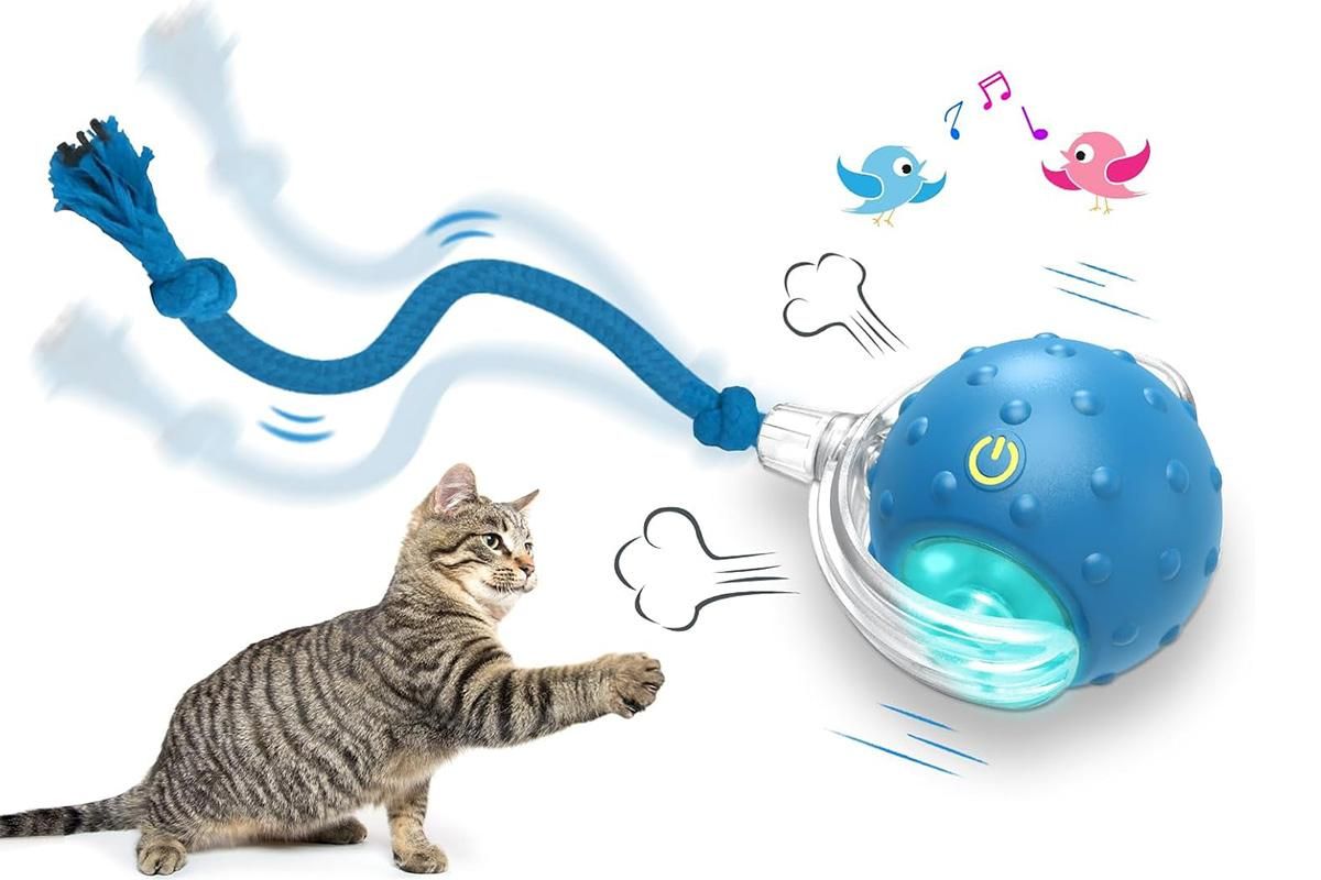 Motion Activate Interactive Cat Toy Rechargeable Smart Rolling Ball with Rope Red
