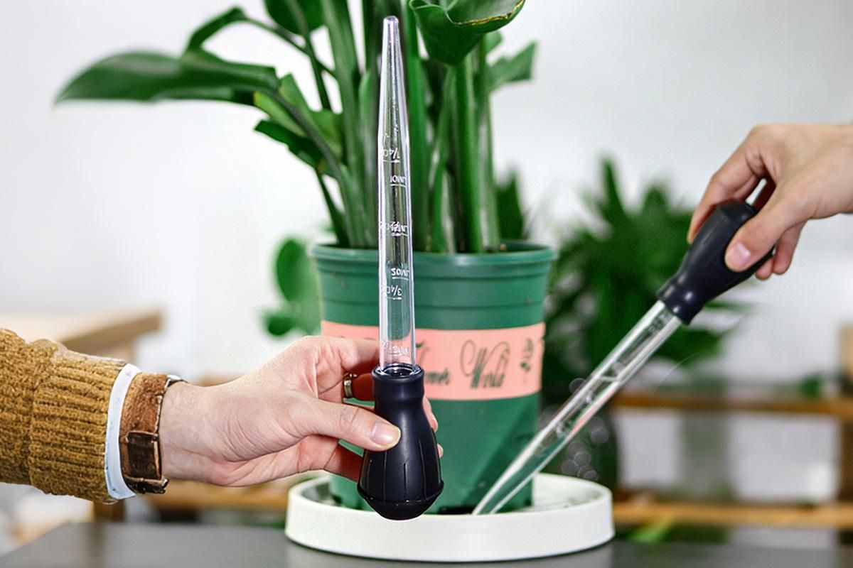 2Pcs Flower Pot Tray Water Remover Suction Drainer Tool Clear Scale Rubber Bulb