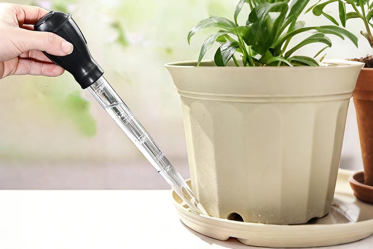 2Pcs Flower Pot Tray Water Remover Suction Drainer Tool Clear Scale Rubber Bulb