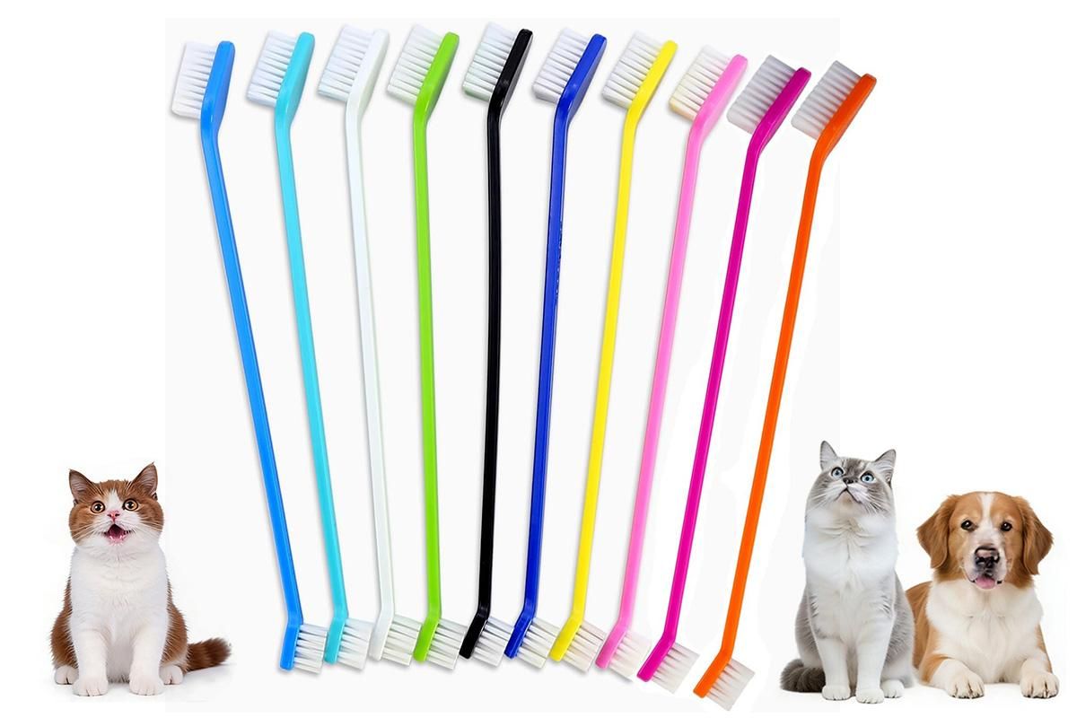 10 Pcs Pet Toothbrush Dual-End Long Handle for Dogs Cats