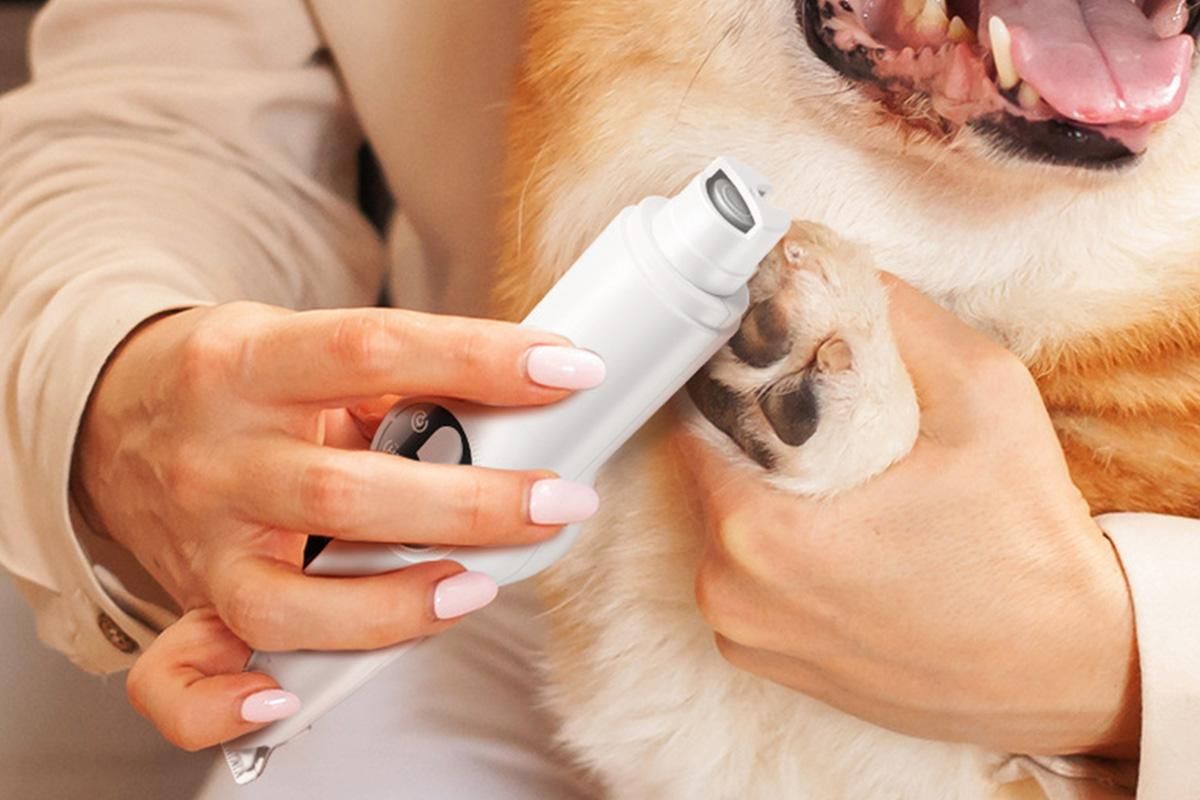 2 in 1 Pet Grooming Clippers with Nail Grinder and LED Display