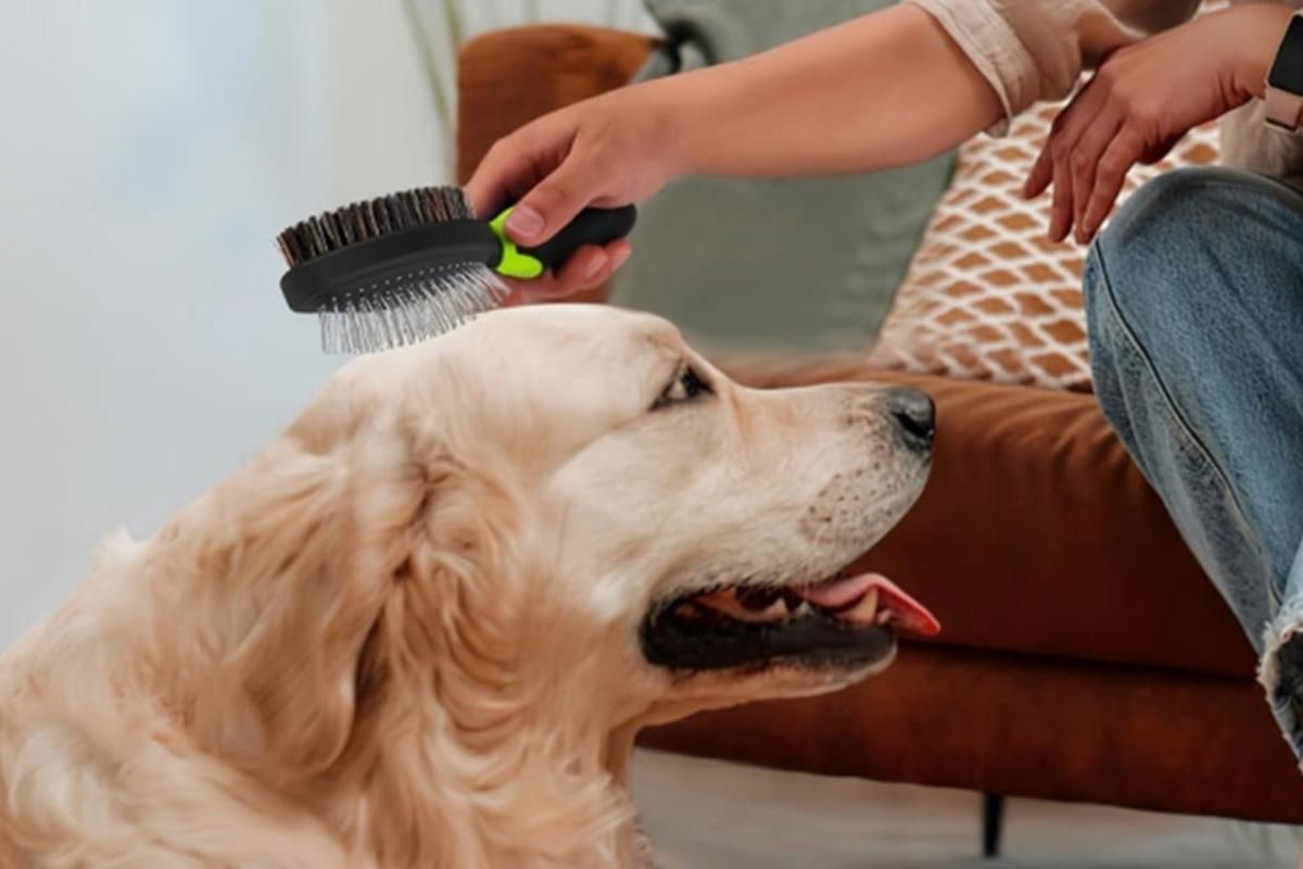 2 Pack Pet Grooming Brush Set Deshedding Double Sided Comb Massage Brush-Green