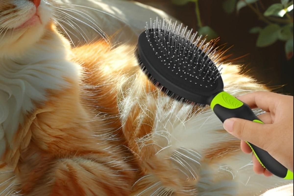 2 Pack Pet Grooming Brush Set Deshedding Double Sided Comb Massage Brush-Green