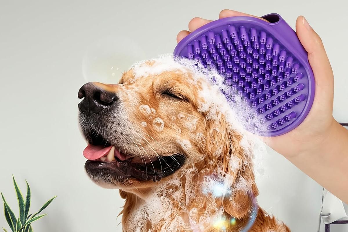 2 Pack Pet Grooming Brush Set Deshedding Double Sided Comb Massage Brush-Purple