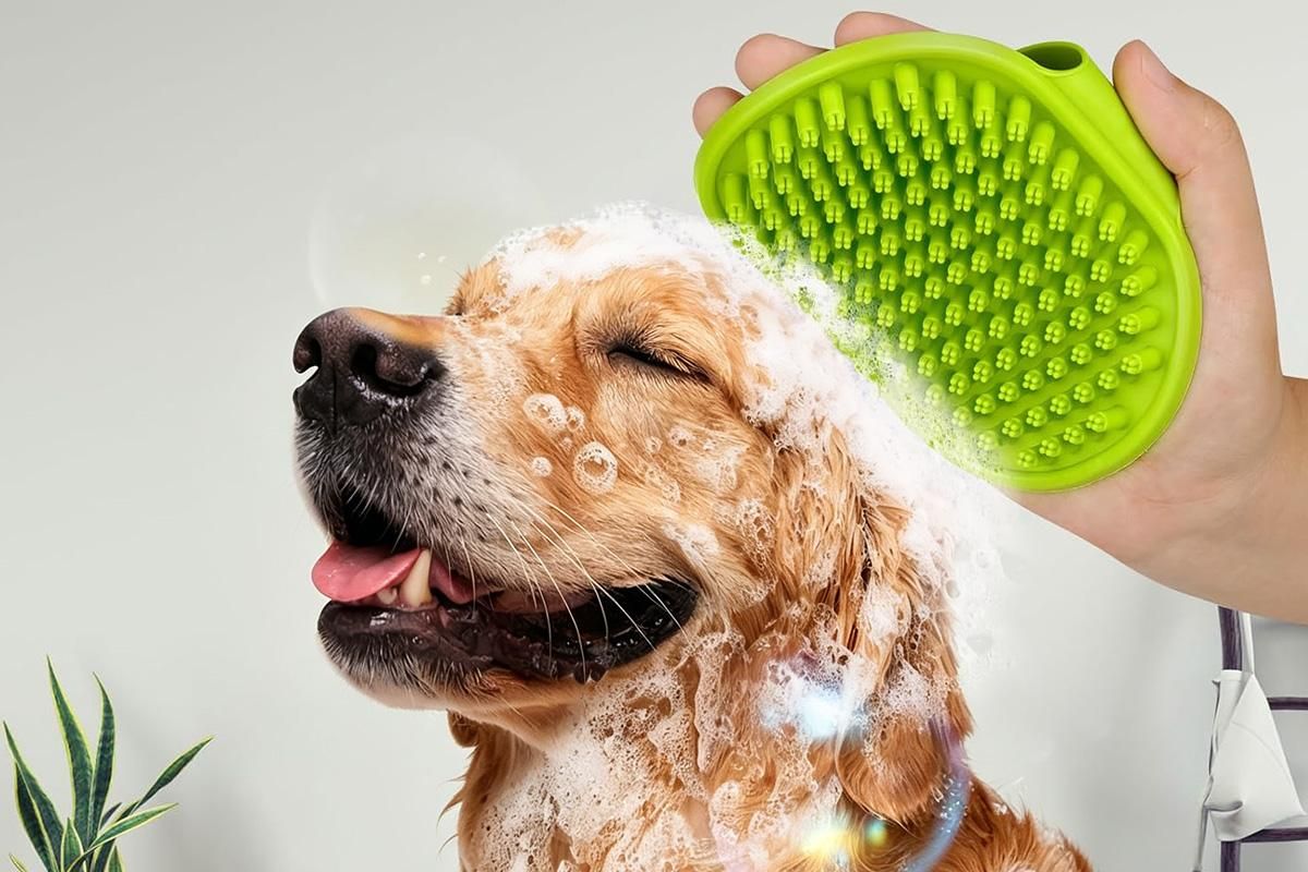 2 Pack Pet Grooming Brush Set Deshedding Double Sided Comb Massage Brush-Purple