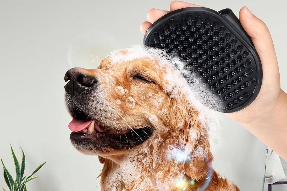 2 Pack Pet Grooming Brush Set Deshedding Double Sided Comb Massage Brush-Purple
