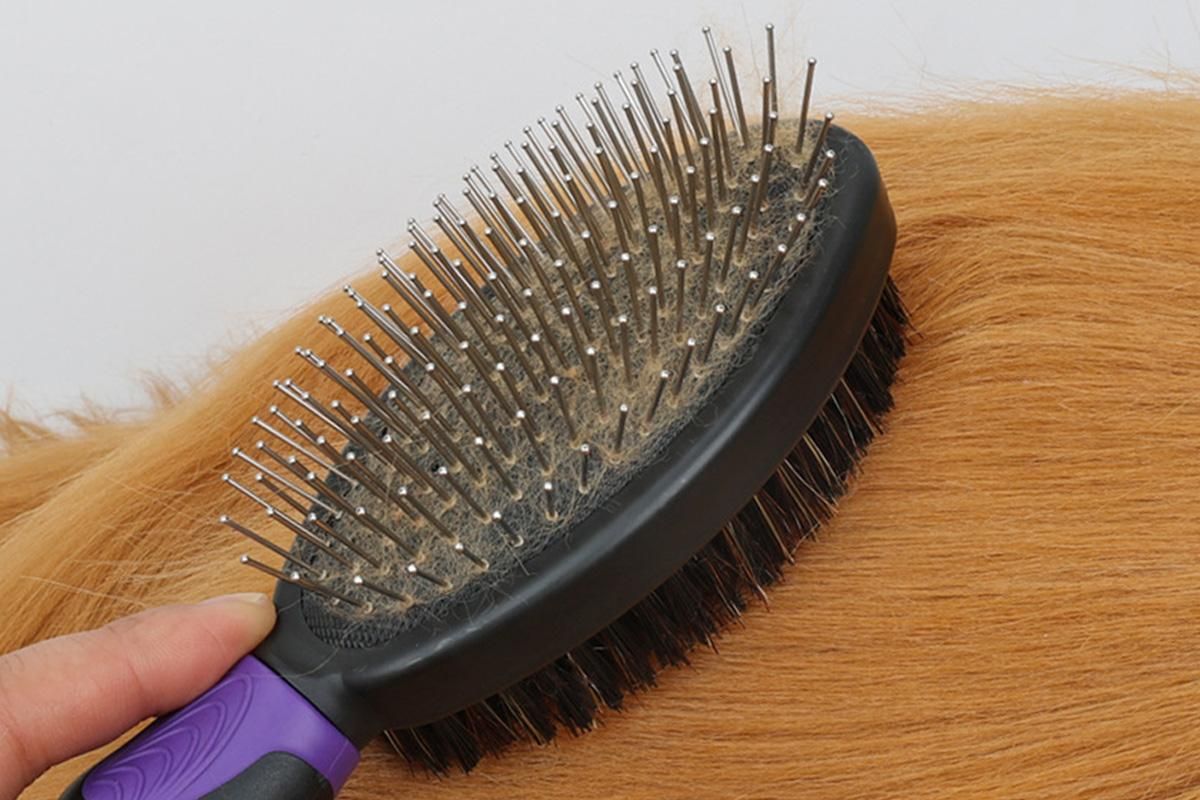 2 Pack Pet Grooming Brush Set Deshedding Double Sided Comb Massage Brush-Purple