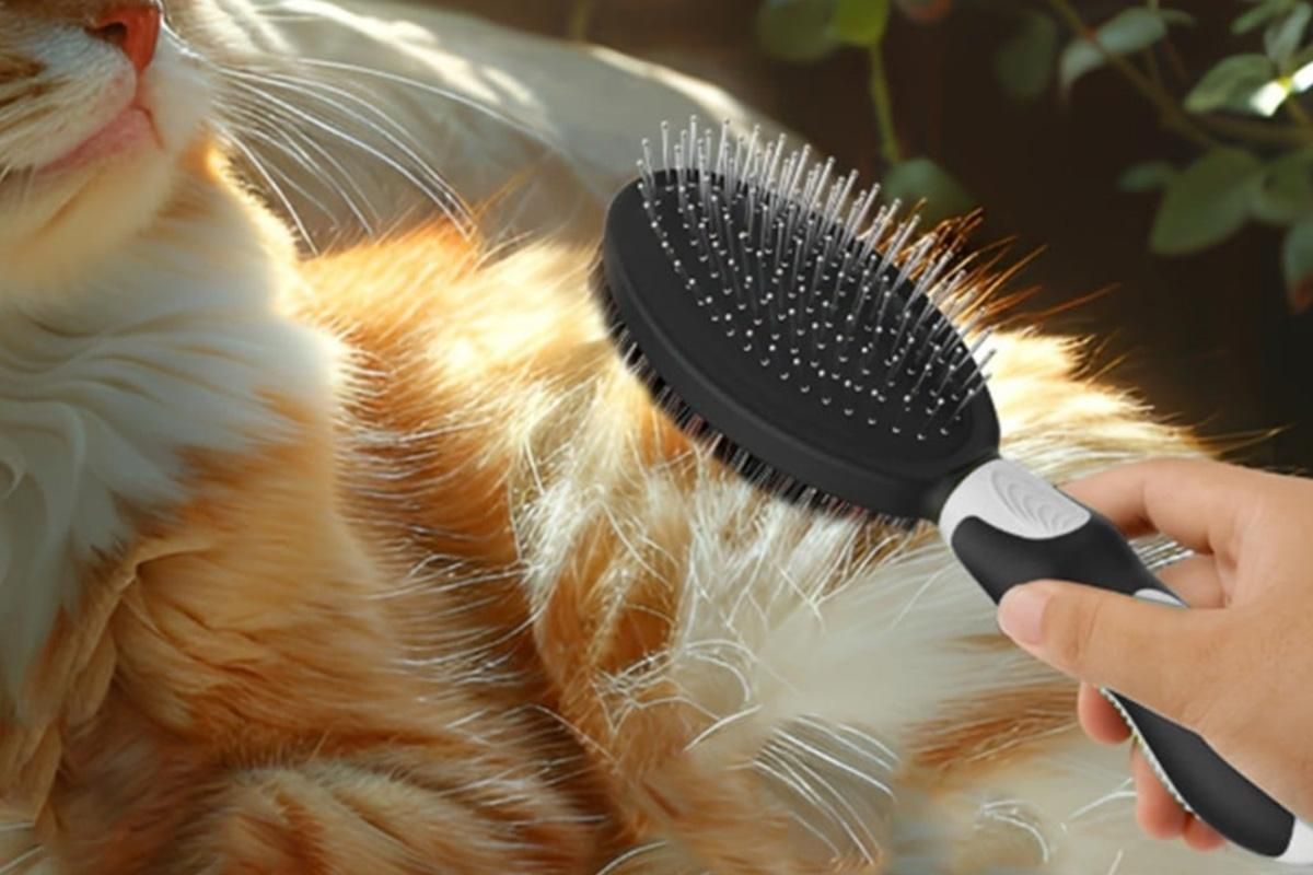 2 Pack Pet Grooming Brush Set Deshedding Double Sided Comb Massage Brush-Black