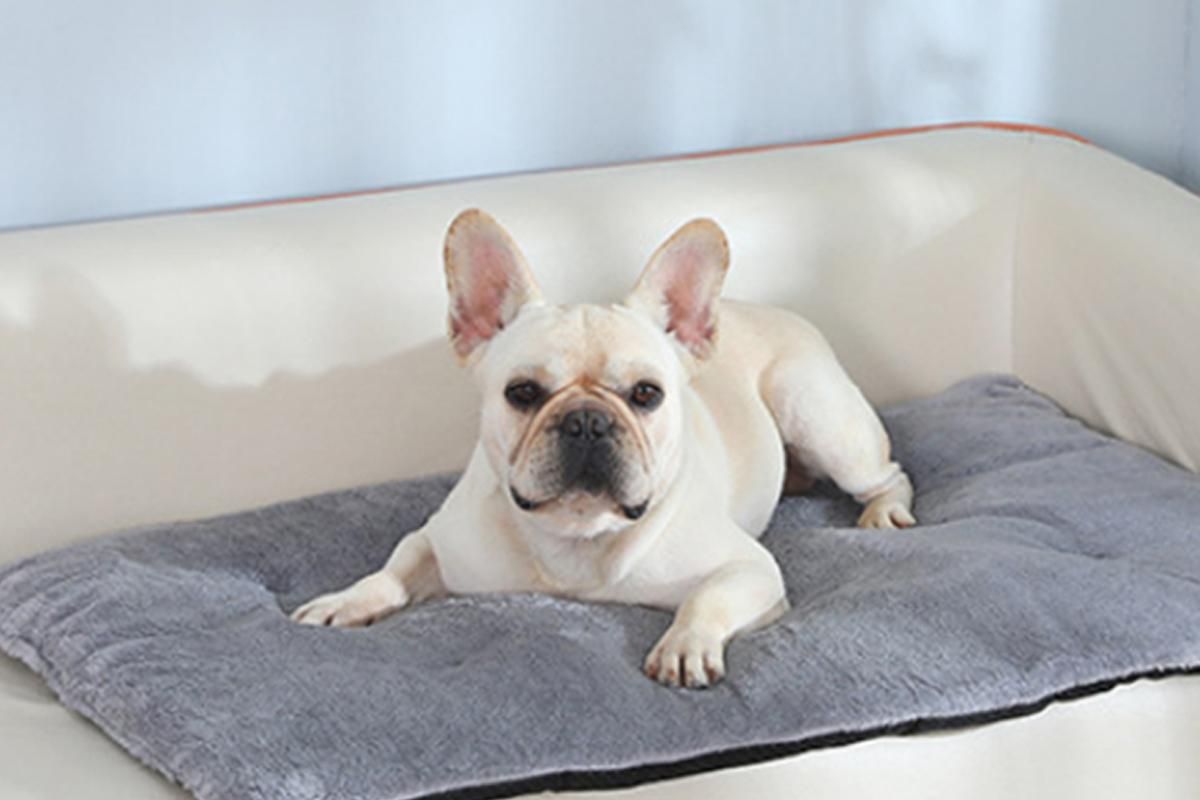 2Pcs Pet Blanket Self-Heating Bed Pad Cat Dog Self-Warming Cushion-Grey S