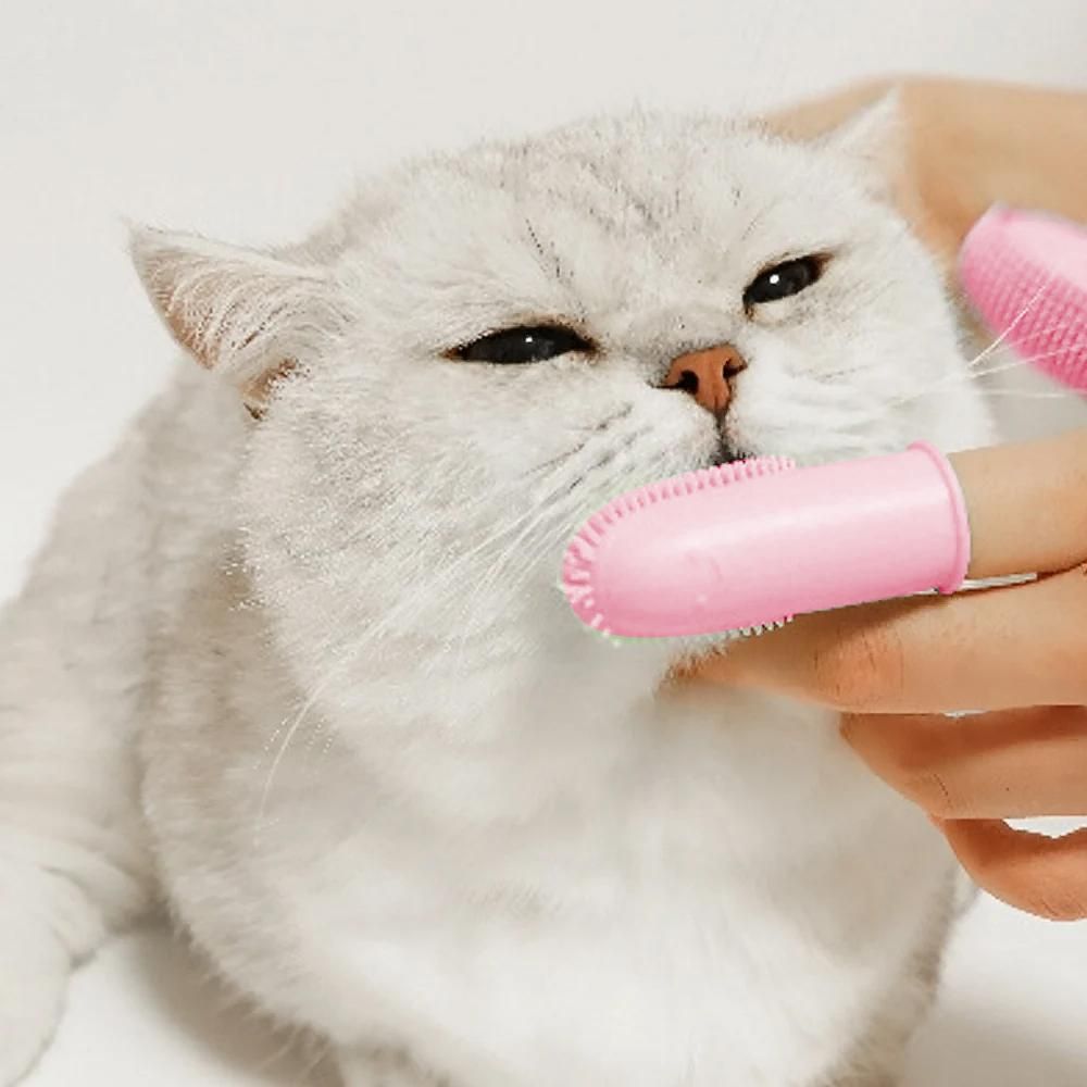 3Pcs Dog Toothbrush Double Finger Silicone Tooth Brushing Kit for Pet Dental Care