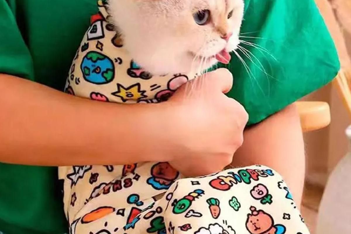 Cat Grooming Wrap For Nail Clipping Scratch Escape Calming Multifunctional Pet Tool M
