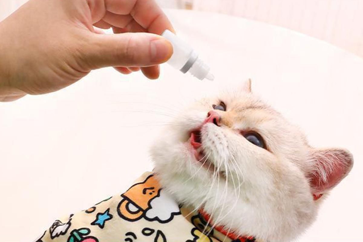 Cat Grooming Wrap For Nail Clipping Scratch Escape Calming Multifunctional Pet Tool M