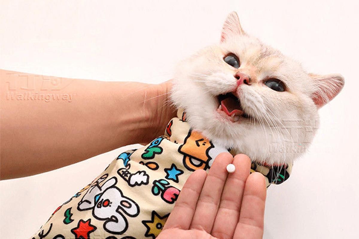 Cat Grooming Wrap For Nail Clipping Scratch Escape Calming Multifunctional Pet Tool L