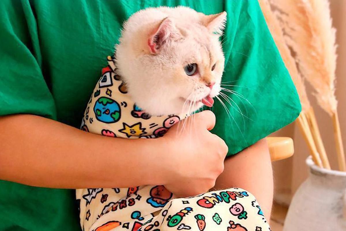 Cat Grooming Wrap For Nail Clipping Scratch Escape Calming Multifunctional Pet Tool XL