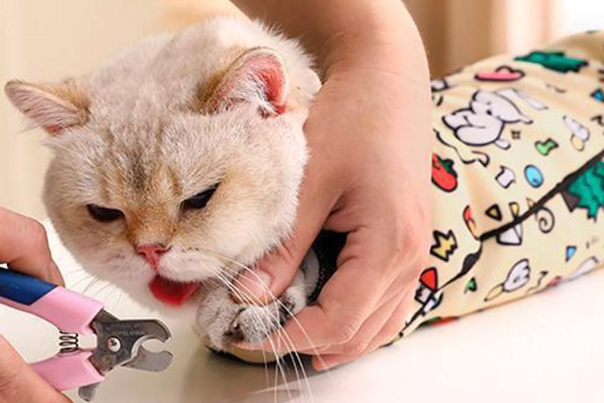 Cat Grooming Wrap For Nail Clipping Scratch Escape Calming Multifunctional Pet Tool XL