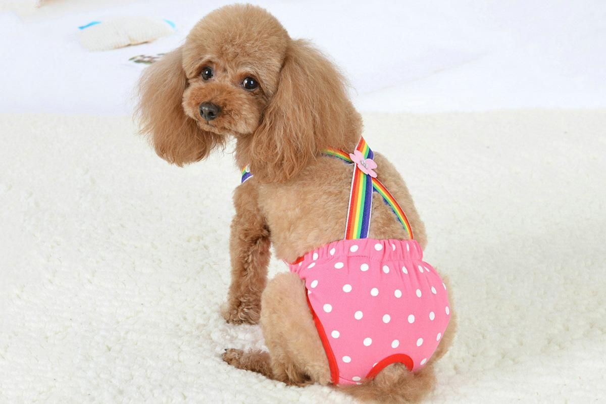 Cute Harness Female Dog Sanitary Pants Reusable Menstrual Diaper-Pink L