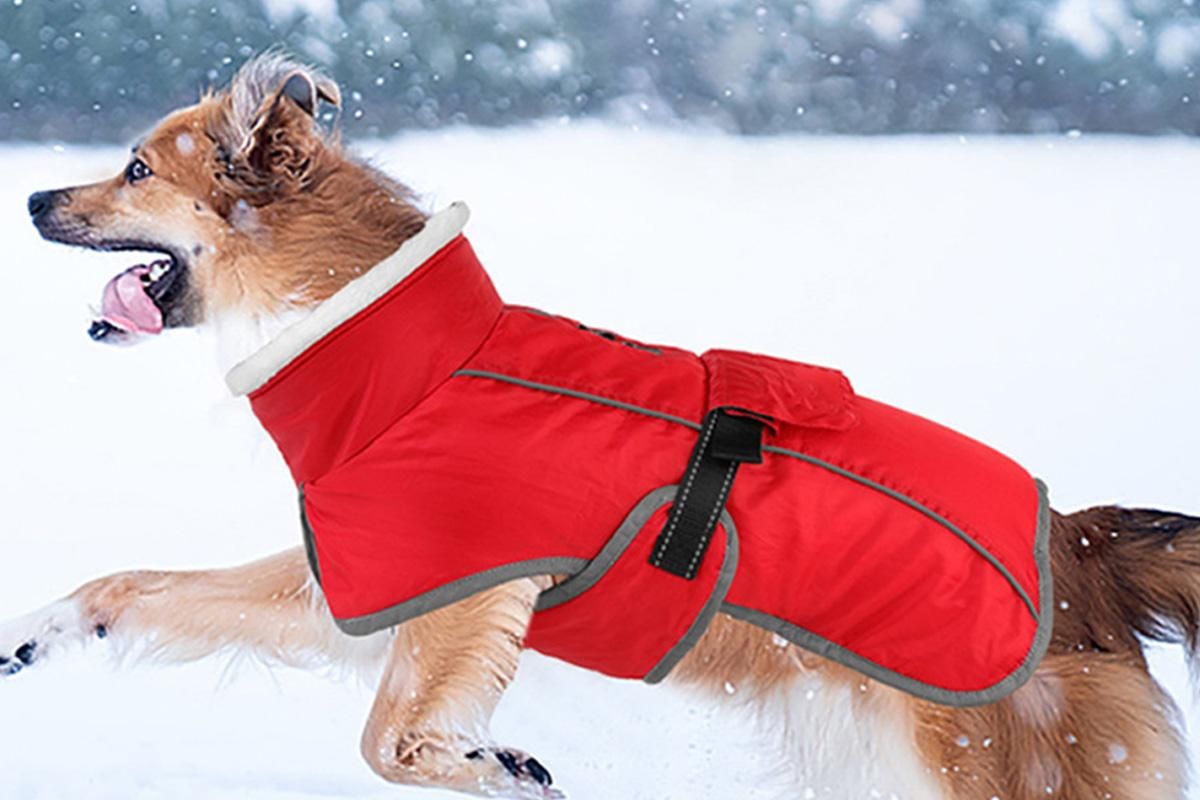 Dogcheer Dog Coat Reflective Dog Snow Jacket for Small Medium Large Dogs -Red M