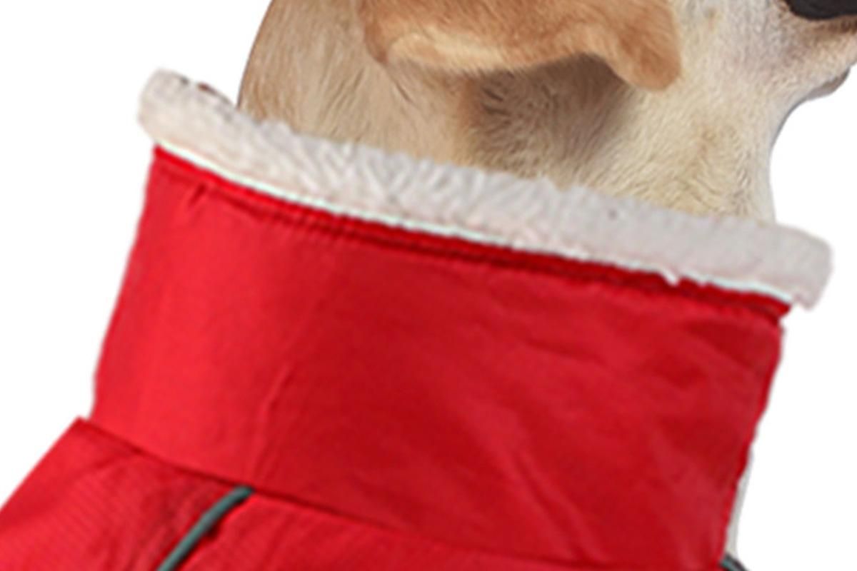 Dogcheer Dog Coat Reflective Dog Snow Jacket for Small Medium Large Dogs -Red M