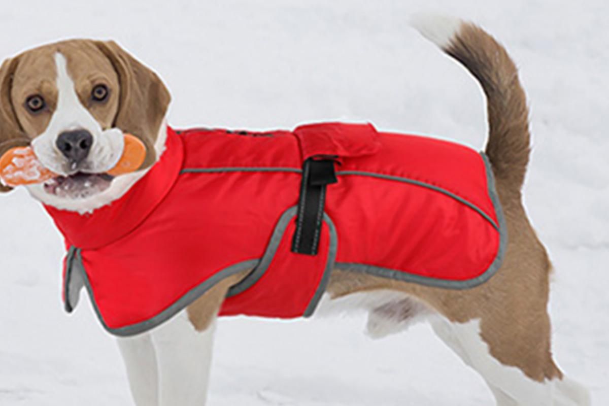 Dogcheer Dog Coat Reflective Dog Snow Jacket for Small Medium Large Dogs -Red M