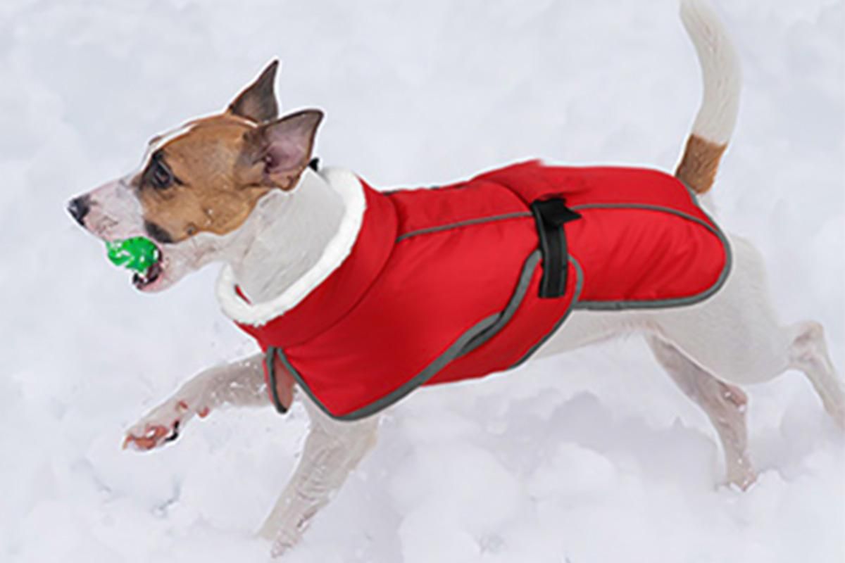 Dogcheer Dog Coat Reflective Dog Snow Jacket for Small Medium Large Dogs -Red M