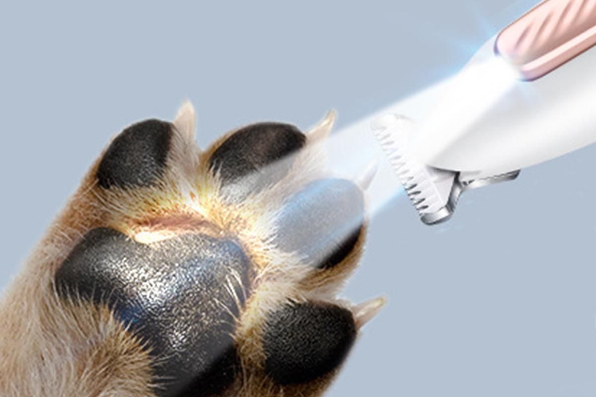 Dog Paw Trimmer with LED Light Low Noise Dog Grooming Clippers for Paws Eyes Ear