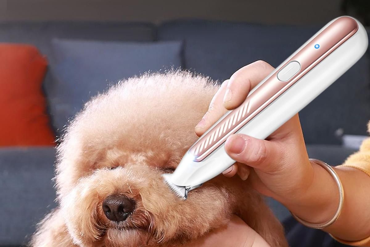 Dog Paw Trimmer with LED Light Low Noise Dog Grooming Clippers for Paws Eyes Ear
