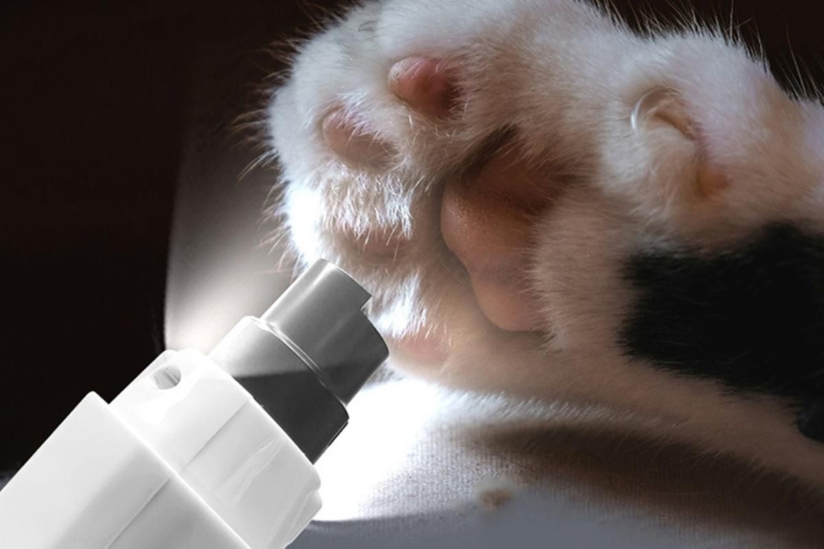 Electric Pet Nail Grinder for Dogs Cats with 5 Speeds LED Light Super Quiet-White