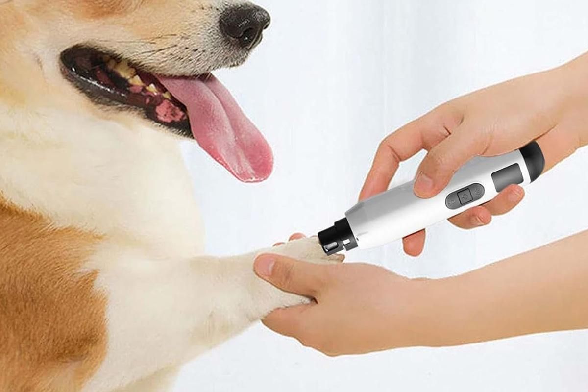Electric Pet Nail Grinder for Dogs Cats with 5 Speeds LED Light Super Quiet-White
