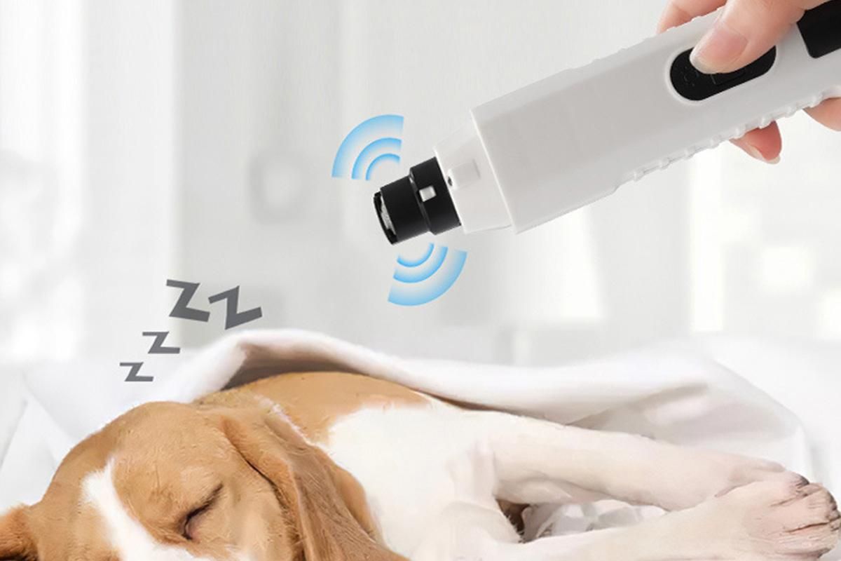 Electric Pet Nail Grinder for Dogs Cats with 5 Speeds LED Light Super Quiet-White