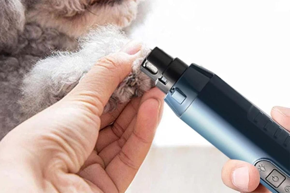 Electric Pet Nail Grinder for Dogs Cats with 5 Speeds LED Light Super Quiet-Blue