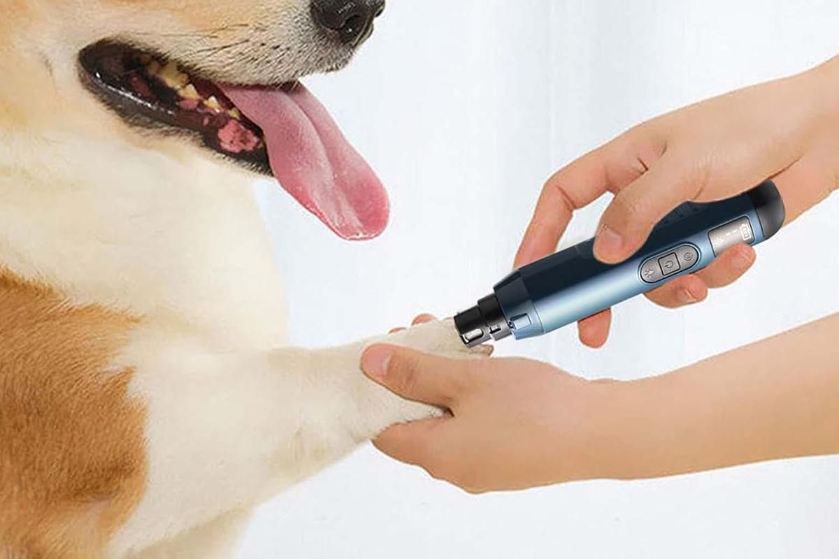 Electric Pet Nail Grinder for Dogs Cats with 5 Speeds LED Light Super Quiet-Blue