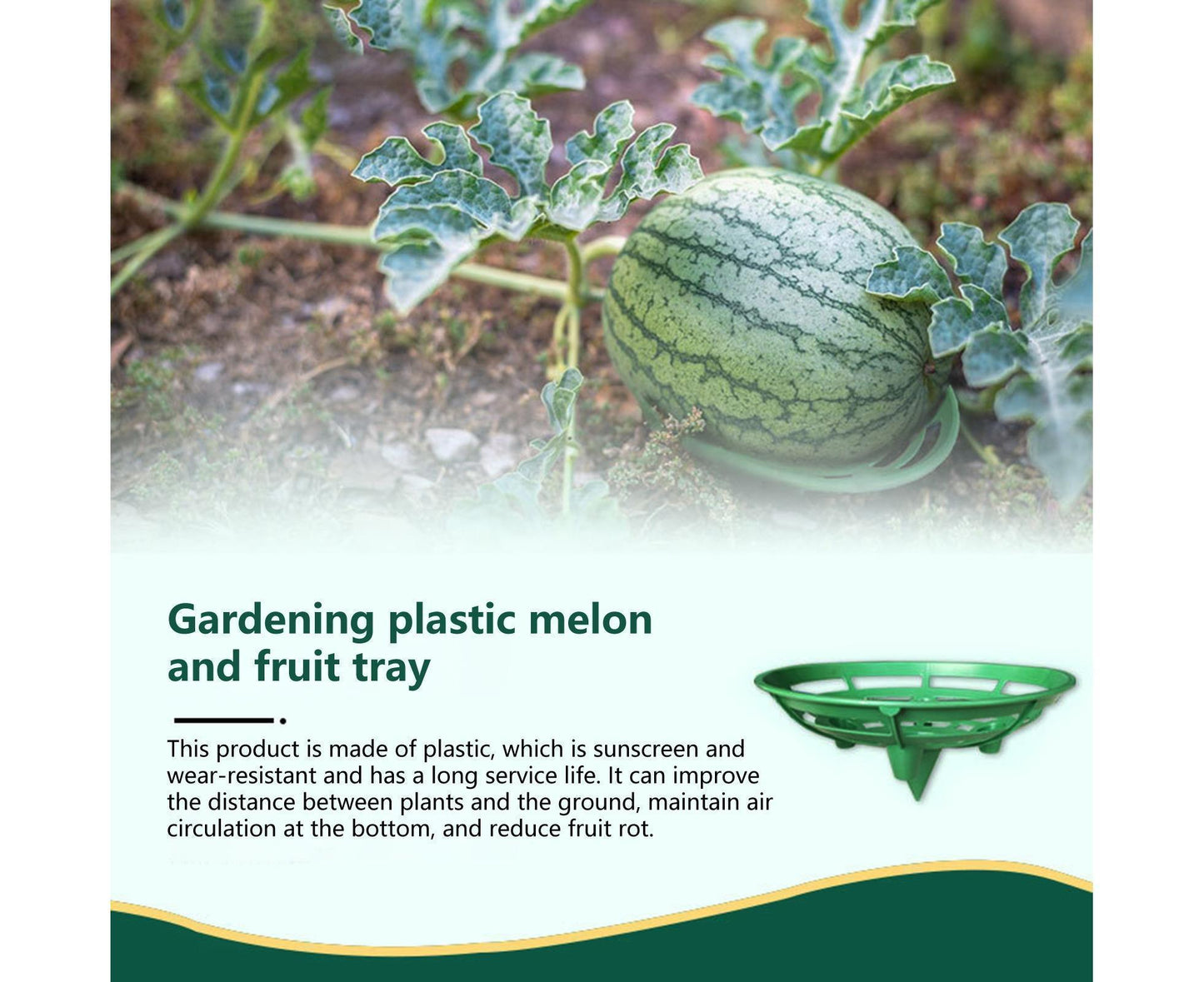 2Pcs Watermelon Growing Holders - Atrovirens L