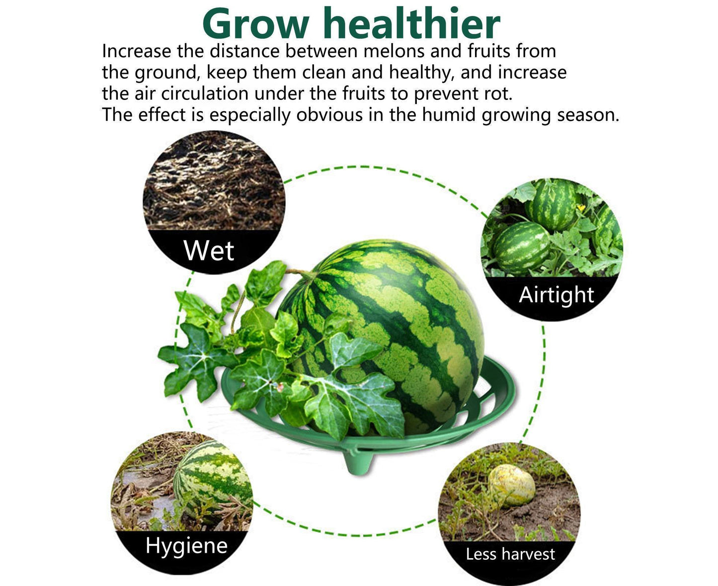2Pcs Watermelon Growing Holders - Atrovirens L