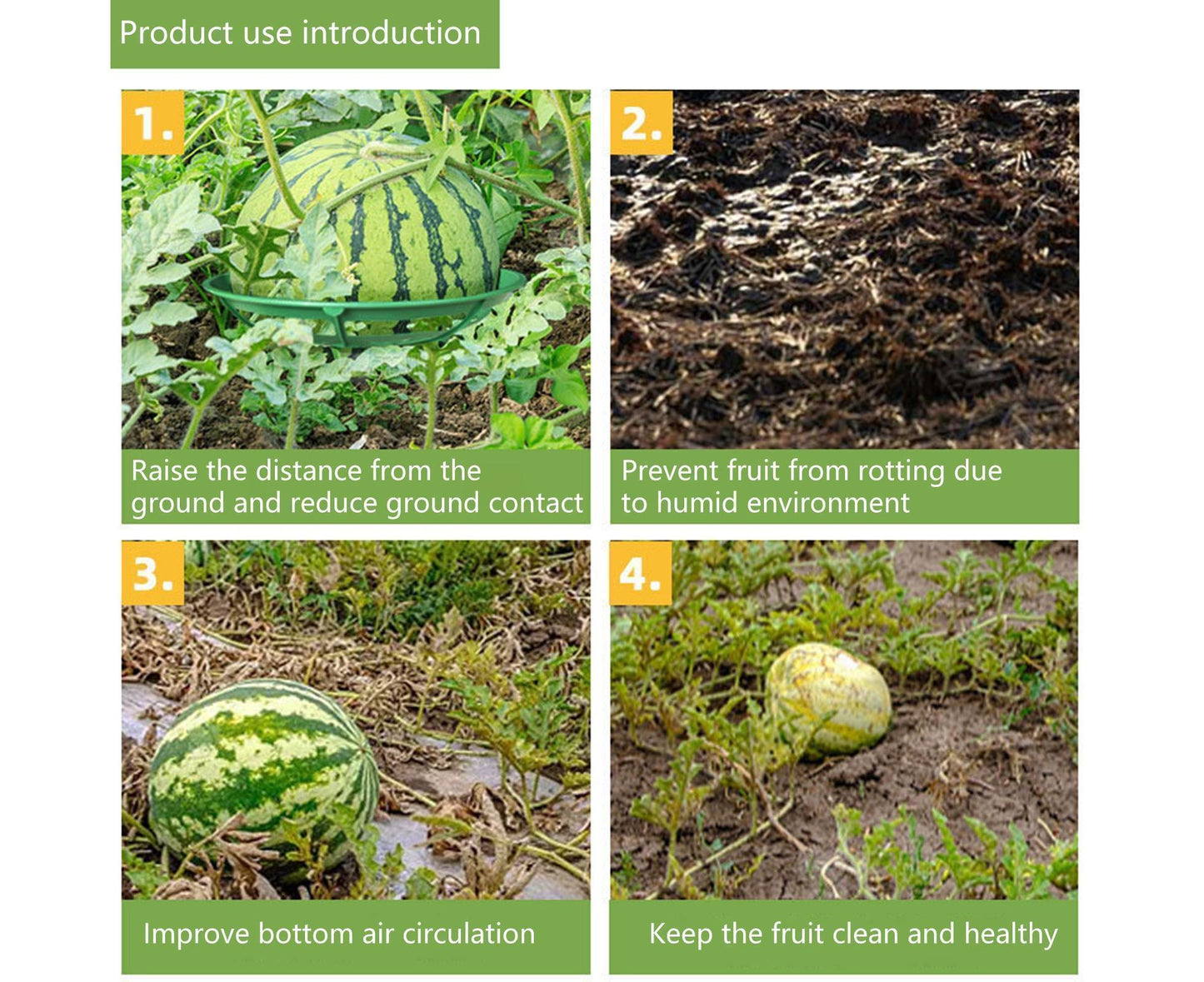 2Pcs Watermelon Growing Holders - Atrovirens L