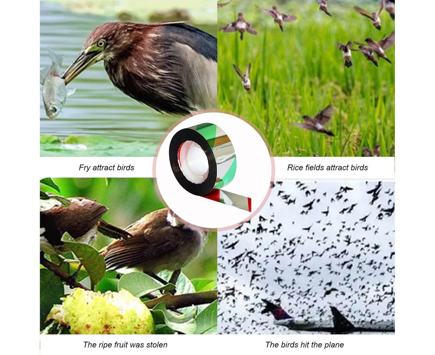 10Pcs Bird Repellent Ribbon Double Side Tape - Green