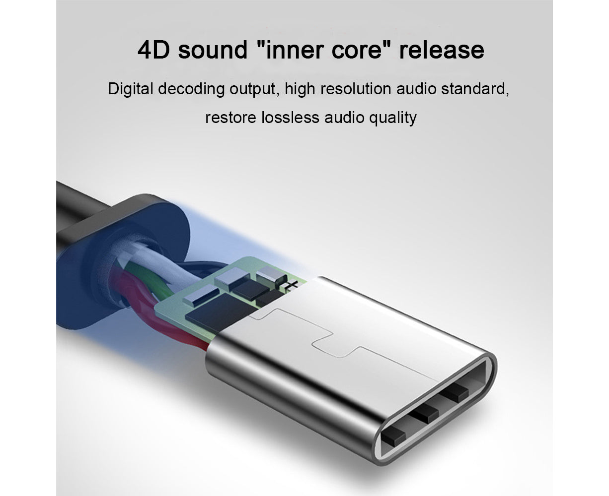 In-Ear Headphones - Type-C Connection - Wired Earphones with Mic and Noise Isolating Sound