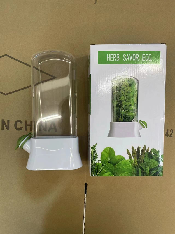 Anti-Crush Herb Keeper Cup Reusable Vegetable Fresh Container-Green