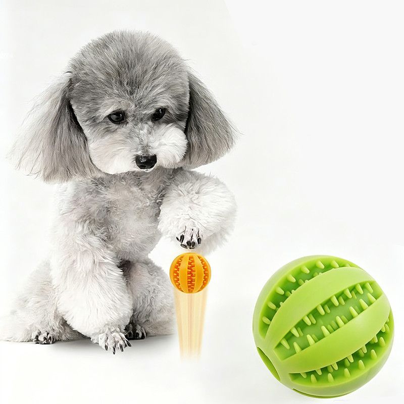 2 Large Pet Food Dispenser Balls, 7 cm – Durable Teething and Dental Care Toys – Blue