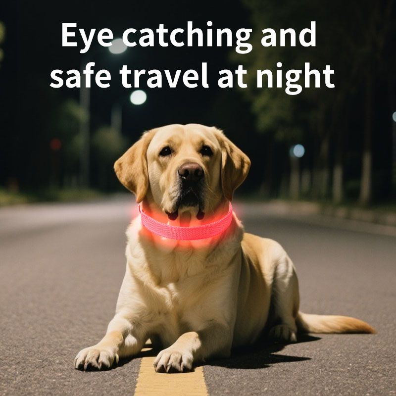 Pet LED Light-Up Collar, Large, Adjustable, USB Rechargeable, for Cats and Dogs, Nighttime Anti-Lost - Pink