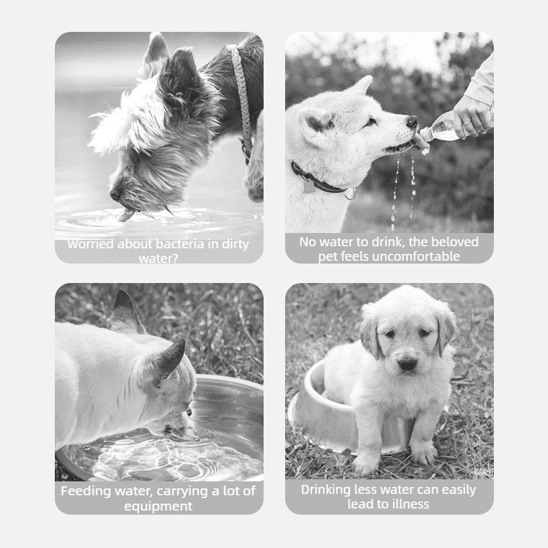 All-in-One Water and Food Pet Travel Cup 350ml Water + 200ml Food Storage Pet Outdoor Water Bottle - White