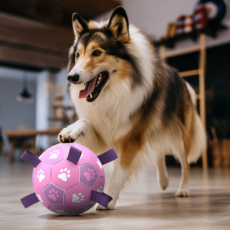 Durable Dog Soccer Ball Toy, 15cm Inflatable Soccer Ball, Teething and Entertainment Training Ball, Includes Pump - White
